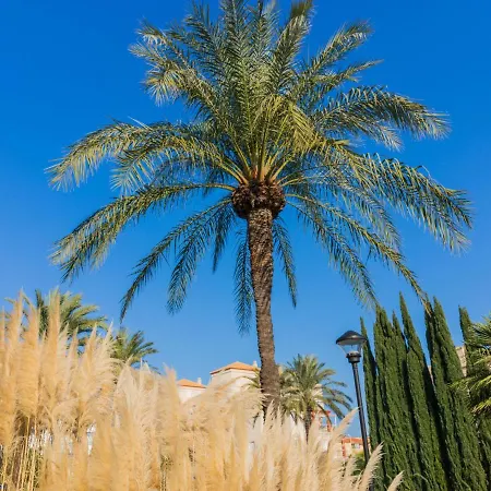 Διαμέρισμα Cala Blanca By Interhome Denia